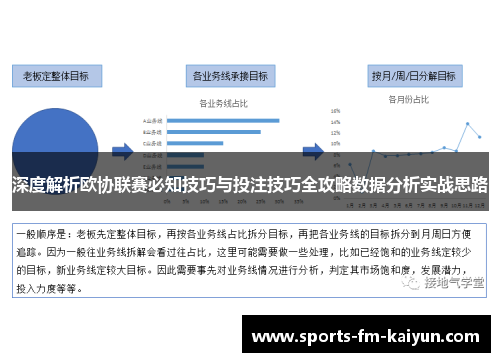 深度解析欧协联赛必知技巧与投注技巧全攻略数据分析实战思路